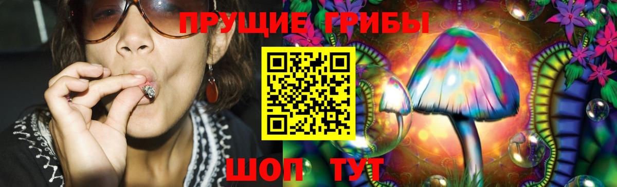 Галлюциногенные грибы Psilocybine cubensis Острогожск